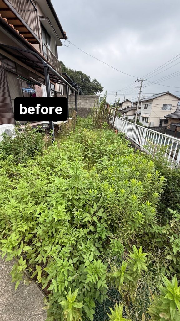 西条市飯岡町 施工前 雑草が生い茂った庭