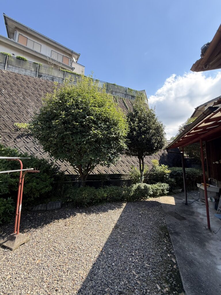 新居浜市七宝台 施工前 大きく伸びた庭木