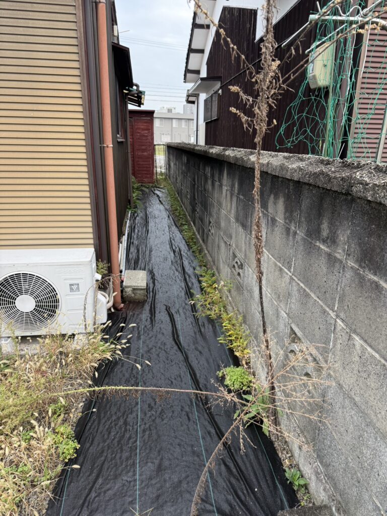 新居浜市阿島 施工前 建物裏手の通路に伸びた雑草