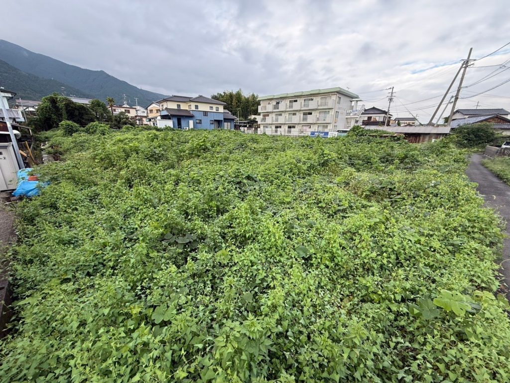 三軒町 施工前 ツルと雑草に覆われた420坪の空き地